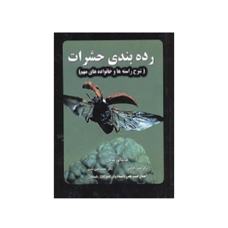 رده بندی حشرات (شرح راسته ها و خانواده های مهم)
